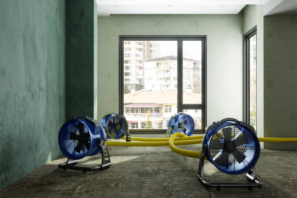 Best Water damage restoration experts  in Copeland, OK